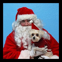 E2-hannahflynn@juno.com